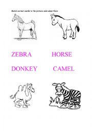 English Worksheet: Animals