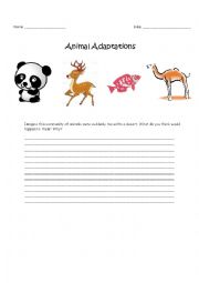 English Worksheet: Animal adaptations 