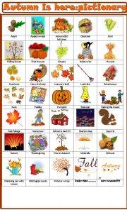 English Worksheet: Autumn is here: pictionary