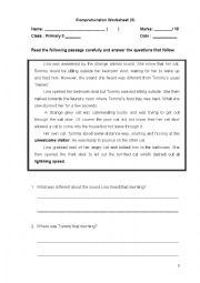 Comprehension Worksheet 