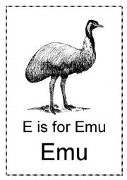 English Worksheet: E is for Emu and Echidna