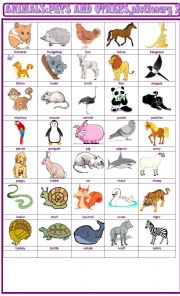 Animals, pets and others :pictionary 2