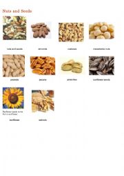 English Worksheet: nuts and seeds