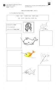 English Worksheet: animals