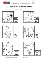 English Worksheet: My little animals