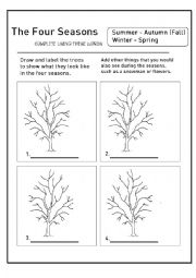 English Worksheet: Season differences