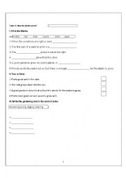 English Worksheet: plantlifre