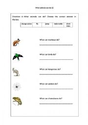 English Worksheet: What Animals Can Do