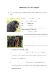 English Worksheet: Lets talk about your favourite pet