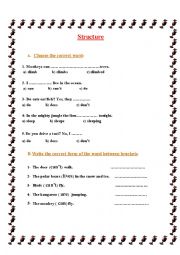 English Worksheet: can or cant