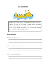 English Worksheet: The Duck Family