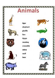 The animals worksheets