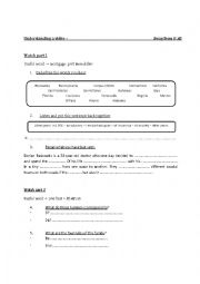 English Worksheet: Surfwise 