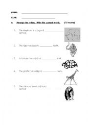 English Worksheet: Animals