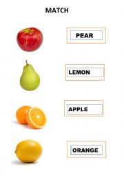 English Worksheet: learn fruits