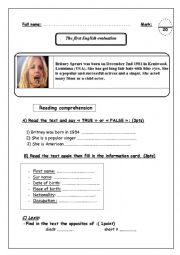 English Worksheet: An English evaluation