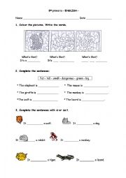 English Worksheet: animals