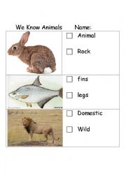 English Worksheet: Animal Features Assessment