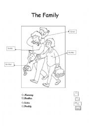 English Worksheet: The Family