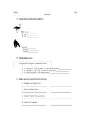 English Worksheet: Animals