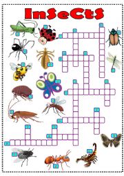 insects crossword