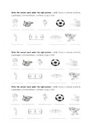 English Worksheet: world cup vocabulary worksheet 