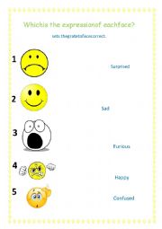 English Worksheet: which is the expression of each face