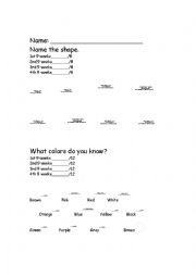English Worksheet: Colors and Shapes Assessment