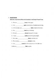 English Worksheet: SimplePresent