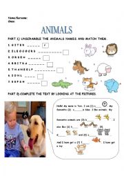 English Worksheet: ANIMALS, PETS