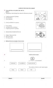 English Worksheet: Primary science test 