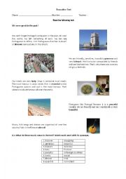 English Worksheet: A short text about the Portuguese people/culture