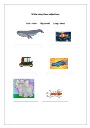 English Worksheet: Write using these adjectives