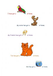 English Worksheet: What pets have we got at home?