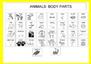 English Worksheet: Animals: Body parts