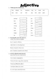 English Worksheet: Adjectives 