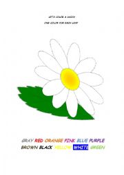 English Worksheet: A COLORFUL DAISY