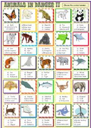 Endangered species  :Multiple choice activity
