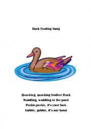 English Worksheet: Duck Feeding Song