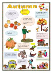 English Worksheet: Autumn.