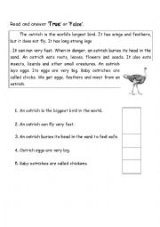 English Worksheet: Animals