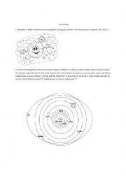 Worksheet - Cardinal Points and Solar System