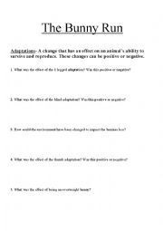 English Worksheet: Bunny Lab