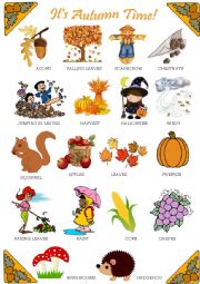 English Worksheet: Autumn - Pictionary