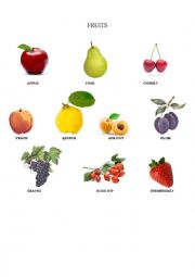 Fruit basic