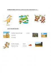 English Worksheet: describe the animals