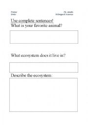 English Worksheet: Animal Investigation