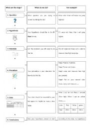 English Worksheet: The steps for lab reports
