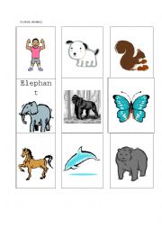 English Worksheet: Diurnal Animals