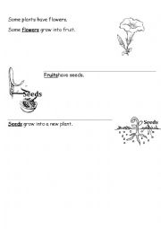 English Worksheet: Plant Parts functions for grade 1